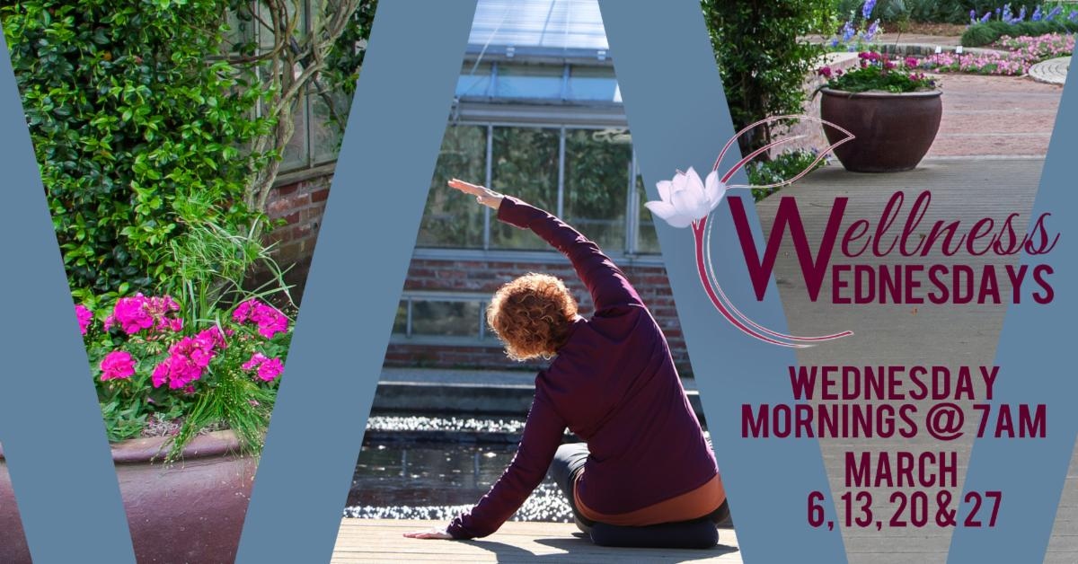 Wellness Wednesdays: Outdoor Yoga – Nature for All