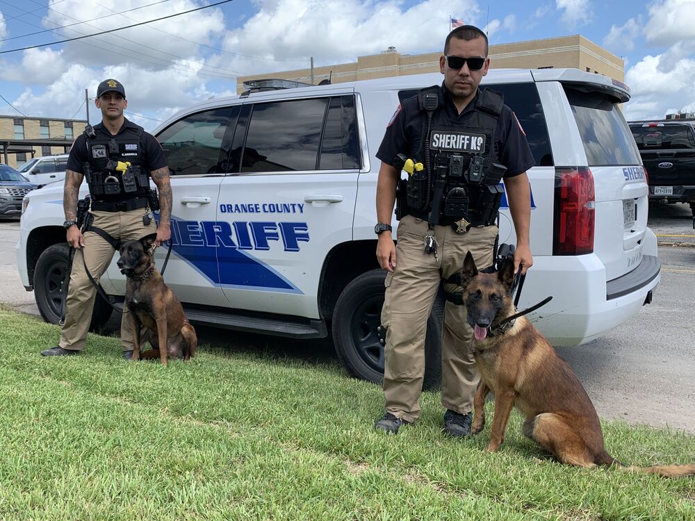 Sheriff Welcomes New K-9 Crime Dogs - The Record Newspapers